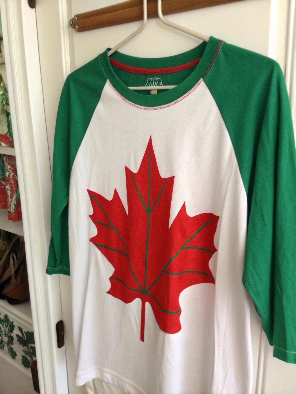 A person proudly wearing the finished DIY Canada Day shirt, featuring a vibrant maple leaf design, at an outdoor Canada Day celebration.